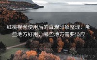 红桃视频使用后的直观印象整理:哪些地方好用,哪些地方需要适应