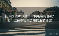 把白虎图片放进日常使用后的感受：使用过程中容易忽略的细节提醒