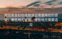 把白虎自扣在线放进日常使用后的感受：哪些地方好用，哪些地方需要适应
