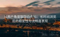 从用户角度聊聊白虎91：长时间浏览后的稳定性与流畅度表现