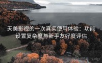 天美影视的一次真实使用体验：功能设置复杂度与新手友好度评估