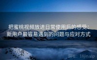 把蜜桃视频放进日常使用后的感受:新用户最容易遇到的问题与应对方式