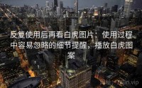 反复使用后再看白虎图片：使用过程中容易忽略的细节提醒，播放白虎图案