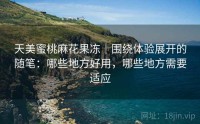 天美蜜桃麻花果冻｜围绕体验展开的随笔：哪些地方好用，哪些地方需要适应
