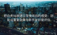 把白虎91放进日常使用后的感受：功能设置复杂度与新手友好度评估