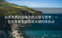 白虎免费网站体验向记录与思考：一些容易被忽视但很关键的体验点