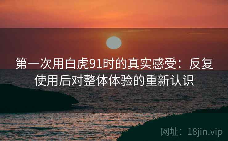第一次用白虎91时的真实感受:反复使用后对整体体验的重新认识 第一次用白虎91时的真实感受:反复使用后对整体体验的重新认识