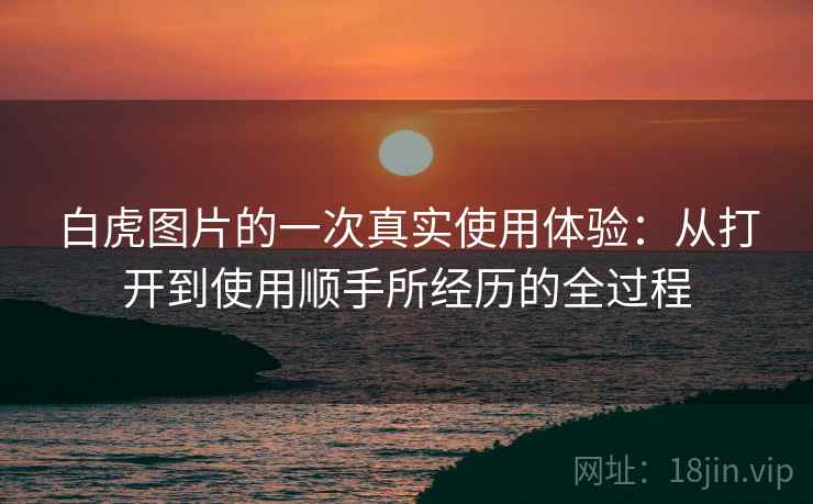 白虎图片的一次真实使用体验：从打开到使用顺手所经历的全过程