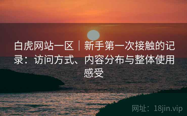 白虎网站一区|新手第一次接触的记录:访问方式、内容分布与整体使用感受 白虎网站一区|新手第一次接触的记录:访问方式、内容分布与整体使用感受