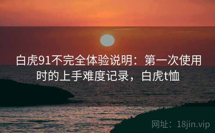 白虎91不完全体验说明：第一次使用时的上手难度记录，白虎t恤