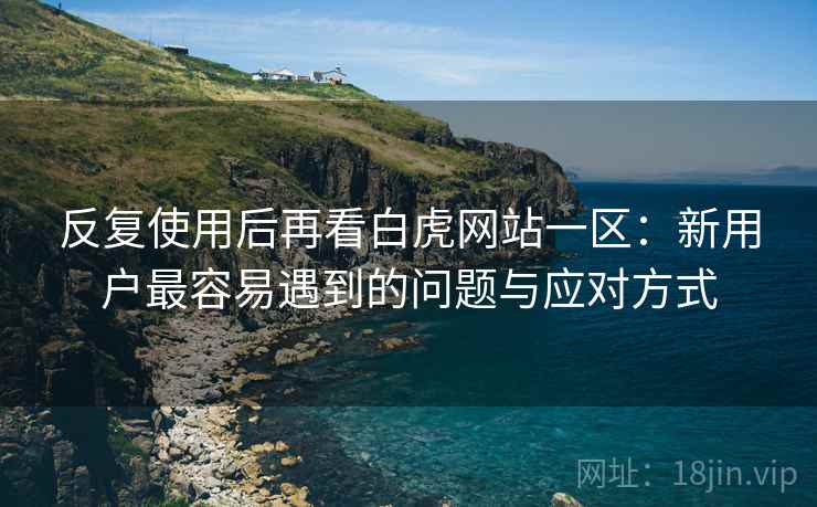 反复使用后再看白虎网站一区：新用户最容易遇到的问题与应对方式