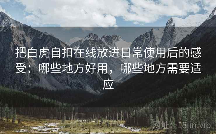 把白虎自扣在线放进日常使用后的感受：哪些地方好用，哪些地方需要适应