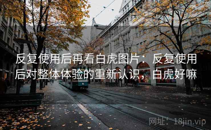 反复使用后再看白虎图片：反复使用后对整体体验的重新认识，白虎好嘛