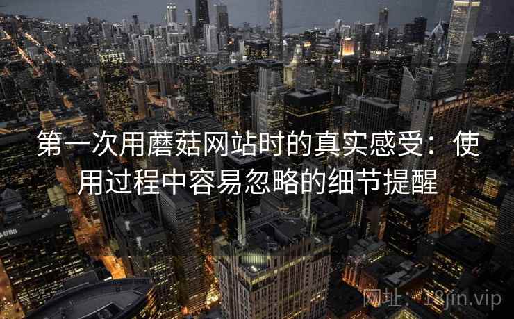 第一次用蘑菇网站时的真实感受：使用过程中容易忽略的细节提醒