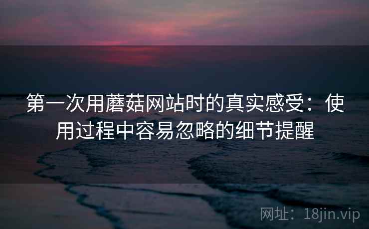 第一次用蘑菇网站时的真实感受：使用过程中容易忽略的细节提醒