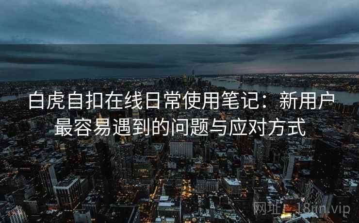 白虎自扣在线日常使用笔记：新用户最容易遇到的问题与应对方式