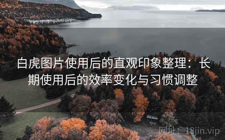 白虎图片使用后的直观印象整理：长期使用后的效率变化与习惯调整
