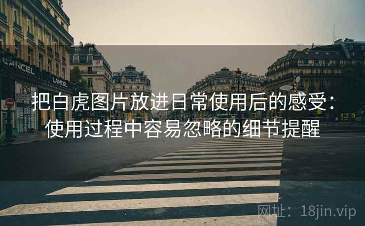 把白虎图片放进日常使用后的感受:使用过程中容易忽略的细节提醒 把白虎图片放进日常使用后的感受:使用过程中容易忽略的细节提醒