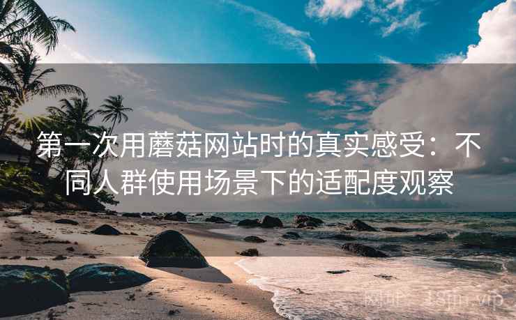第一次用蘑菇网站时的真实感受:不同人群使用场景下的适配度观察 第一次用蘑菇网站时的真实感受:不同人群使用场景下的适配度观察
